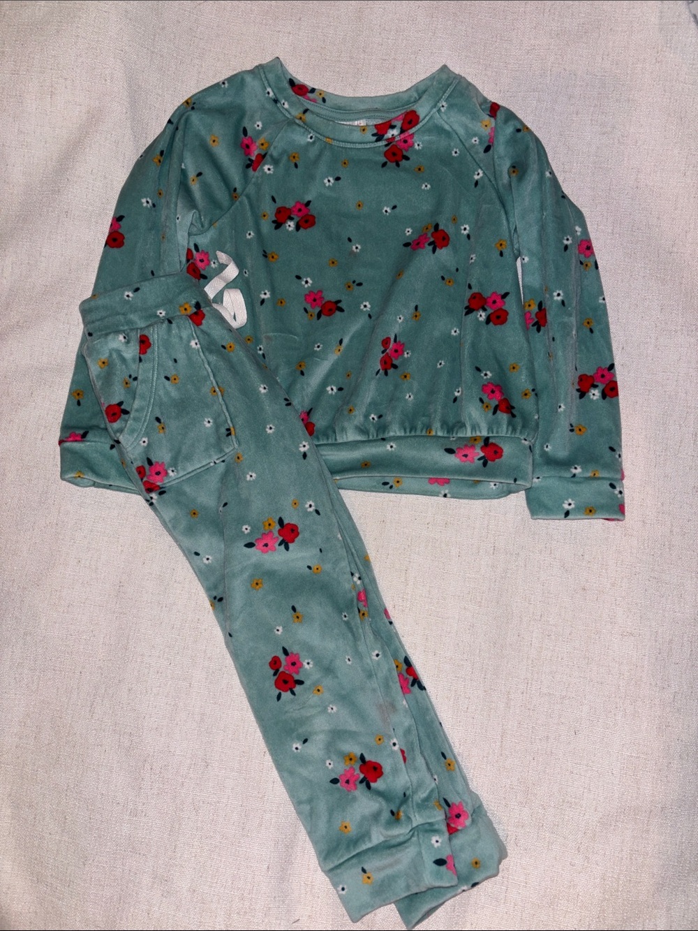 Cat & Jack Teal Floral Velour Set with Pink & Red Flowers